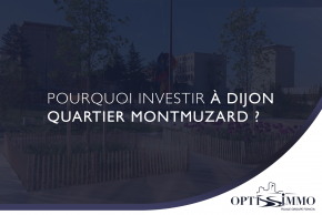 Pourquoi investir à Dijon quartier Montmuzard ?